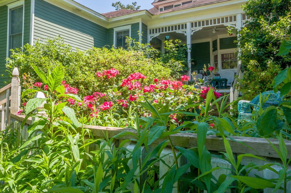 Holly House Of Hamilton Bed and Breakfast Buitenkant foto